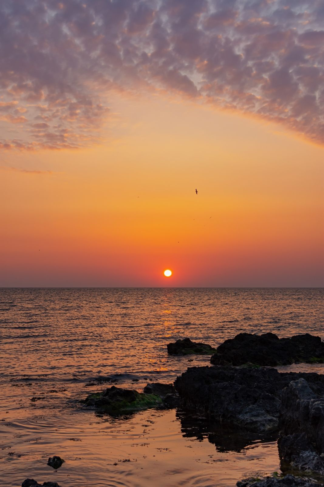 Фукуок — это любовь с первого заката: мягкий свет над морем, тропические острова на горизонте и экскурсии TianaTours, после которых не хочется улетать.