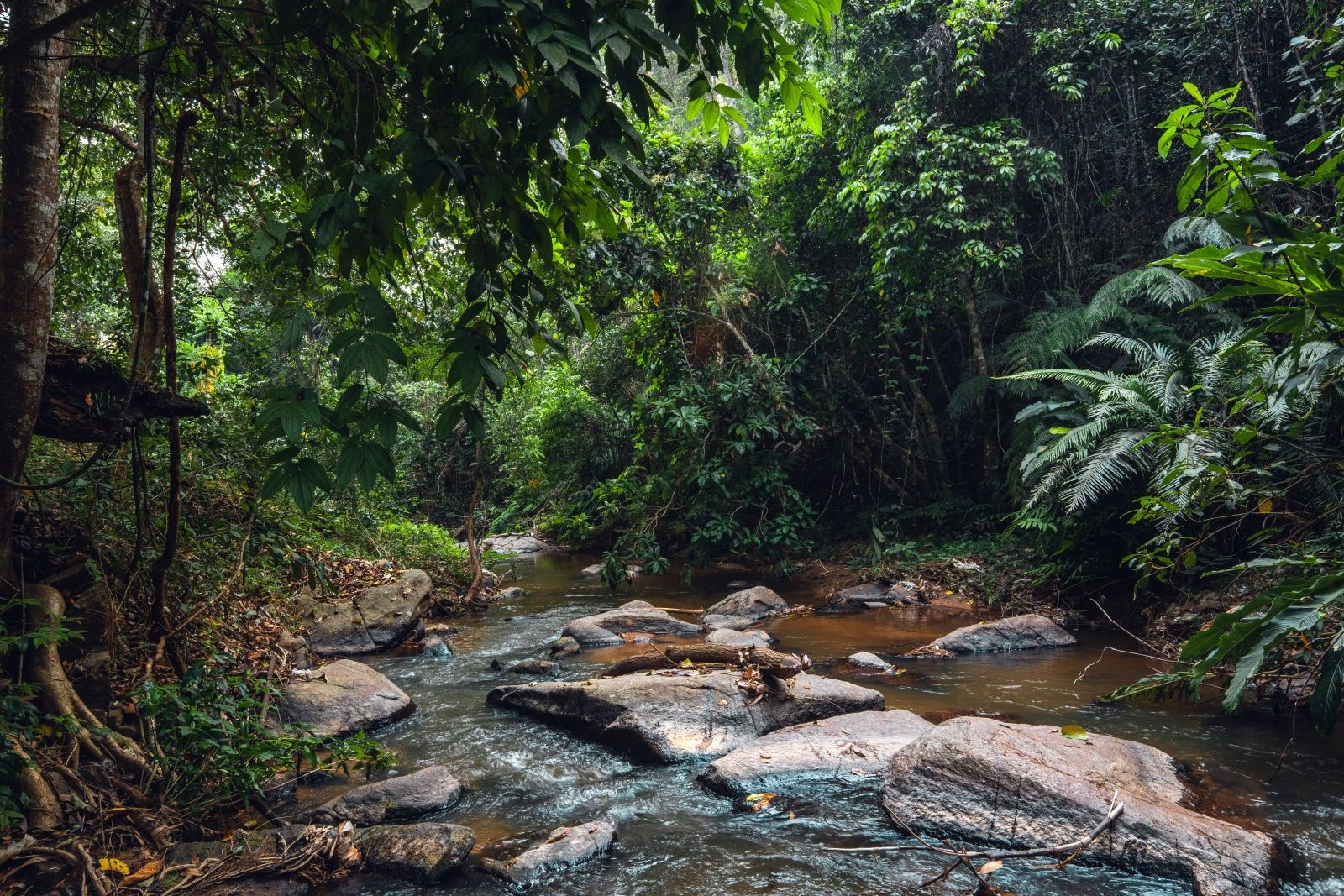 Прогулка к водопаду Суой Чань — мягкое приключение в программе тура: лёгкая тропа, каменные уступы, тень тропических деревьев и фотогеничный каскад среди валунов.