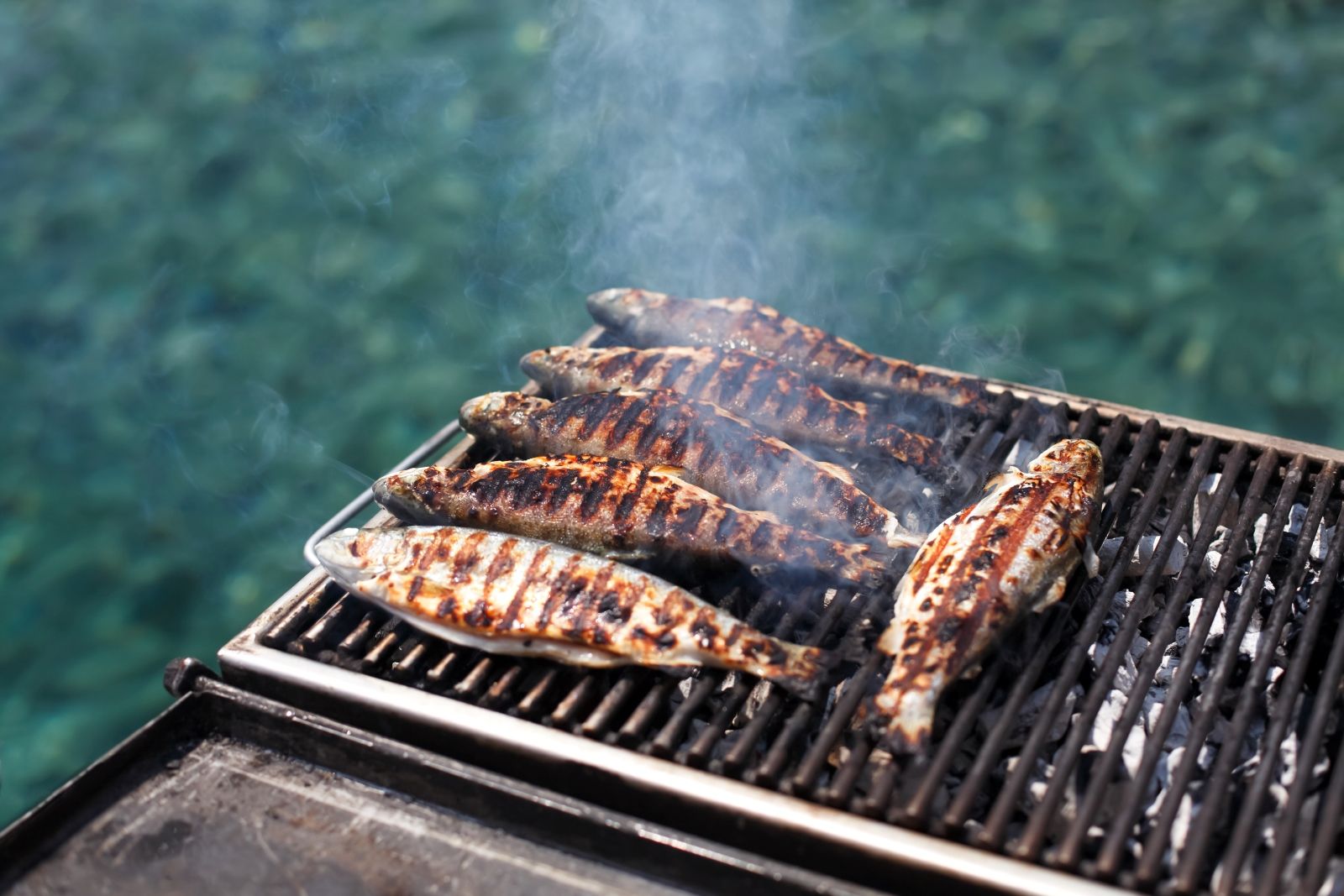 Обед на борту после морской рыбалки у архипелага Антхой: экипаж маринует и жарит на гриле только что пойманную рыбу, а гости пробуют барбекю из собственного трофея под шум волн.