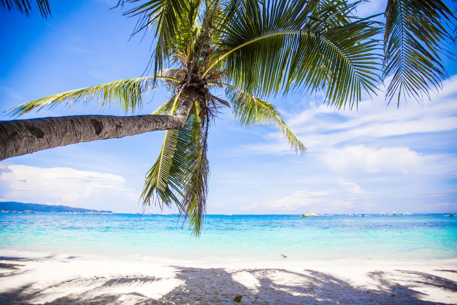 Программа тура по трём островам Антхой включает остановки для купания и сноркелинга, давая почувствовать море Фукуока в разных форматах.