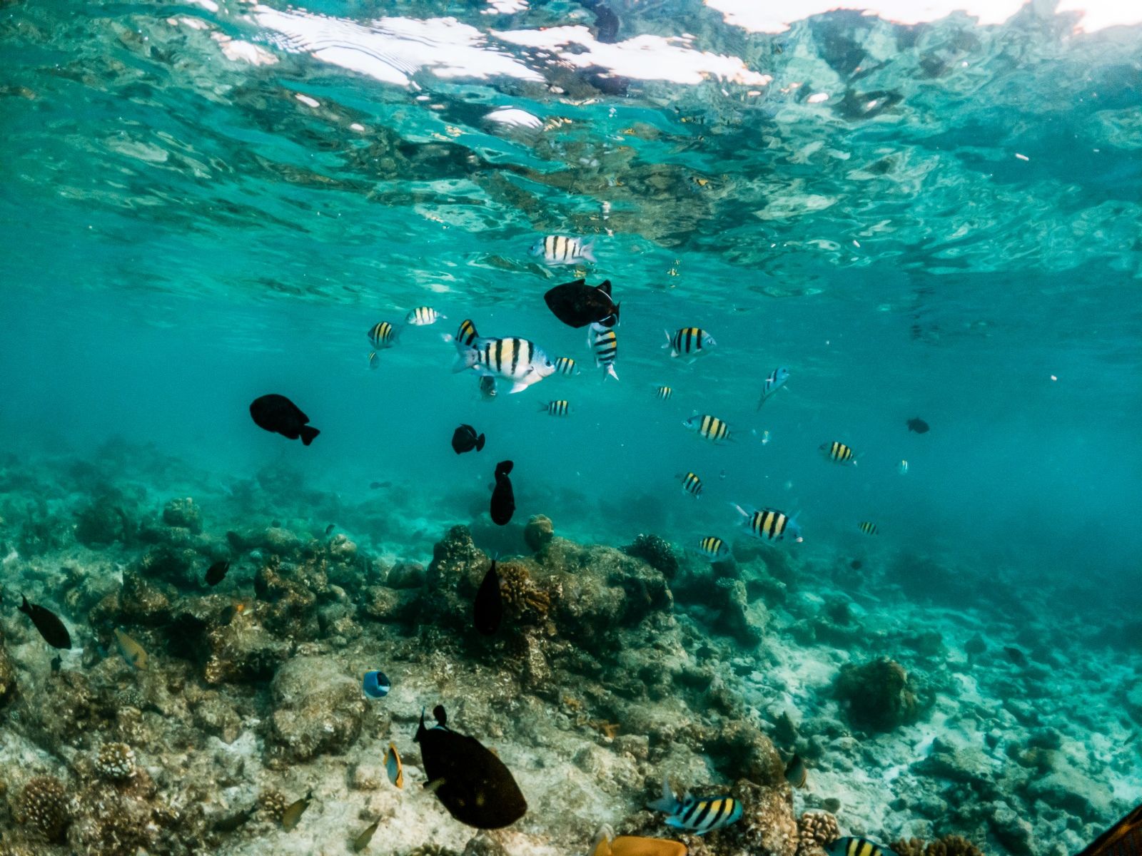 Морской круиз по южным островам Фукуока от ТианаТурс проходит по архипелагу Антхой, включает коралловые рифы у Гам Ги и остановку у Май Рут днём или вечером.